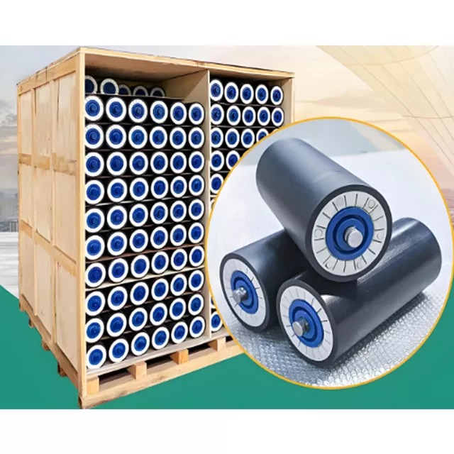 UHMWPE Roller Idler